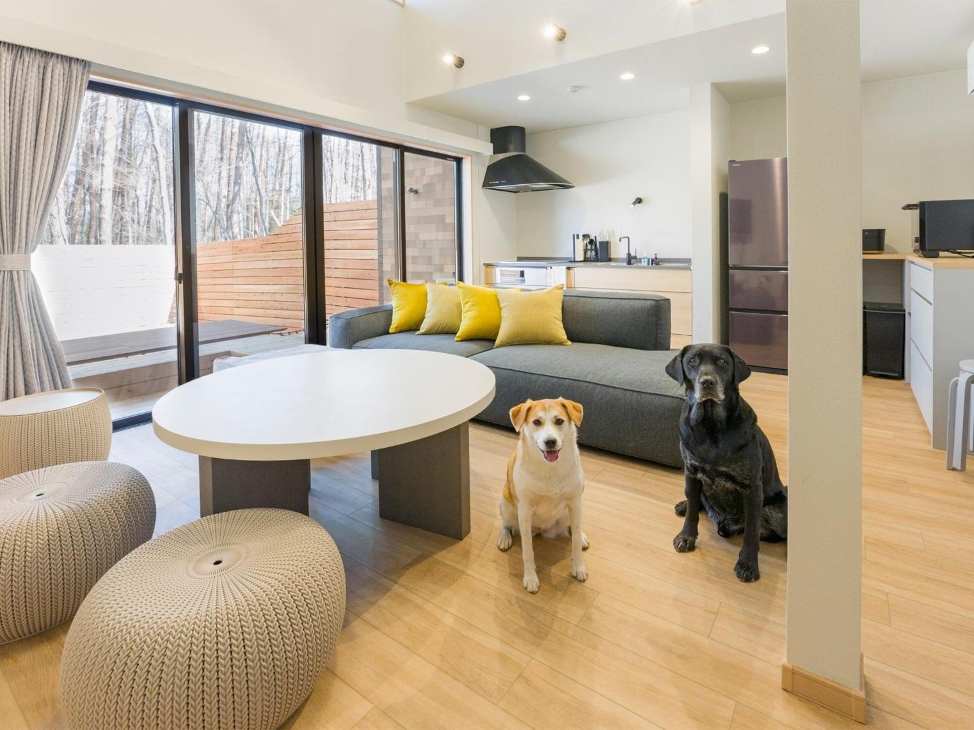 Ferienhaus Rakuten Fuji Kawaguchiko Forest 2ldk With Sauna And Terrace-pet Friendly- *