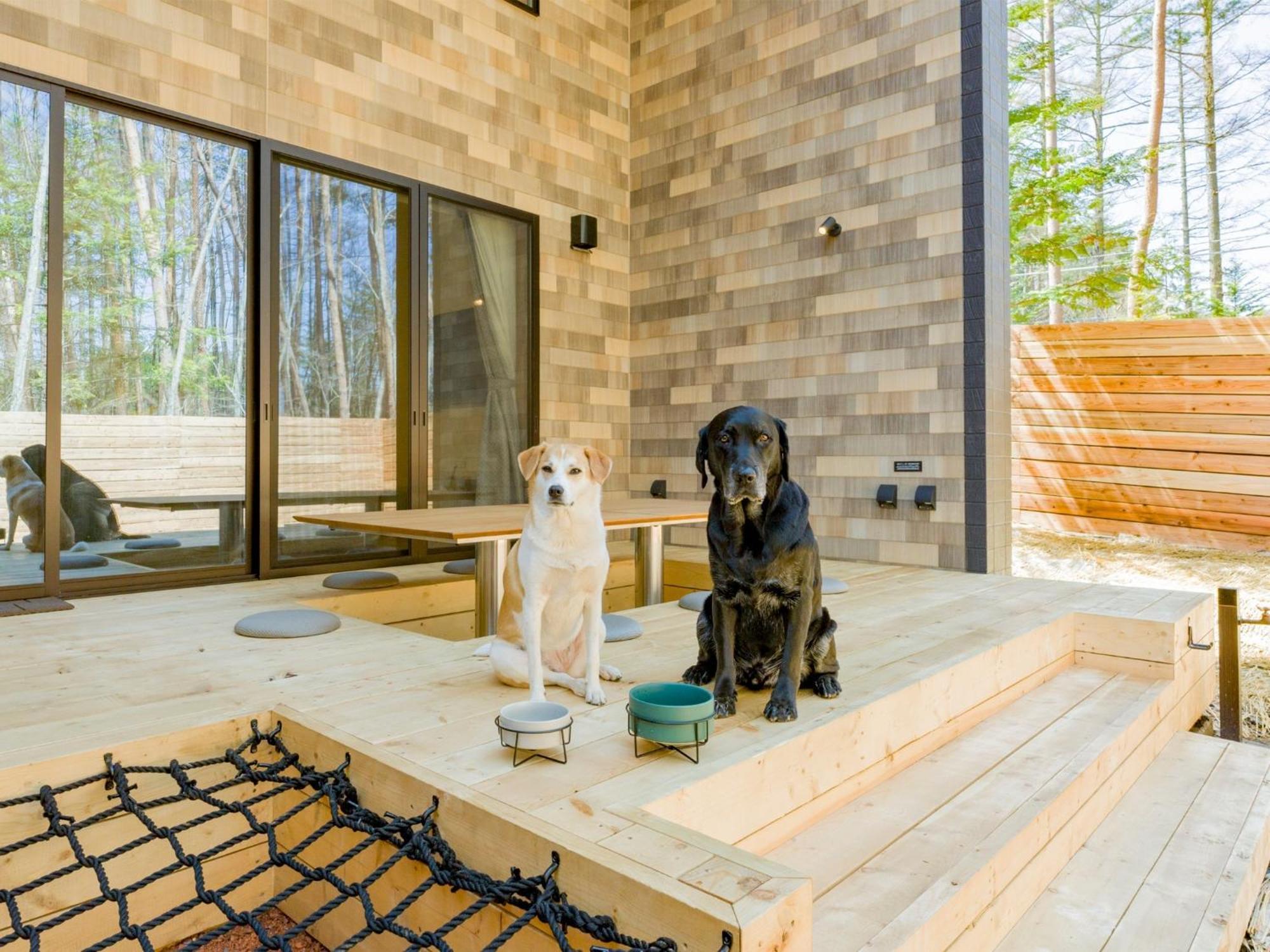 Rakuten Fuji Kawaguchiko Forest 2ldk With Sauna And Terrace-pet Friendly- Ferienhaus Fujikawaguchiko