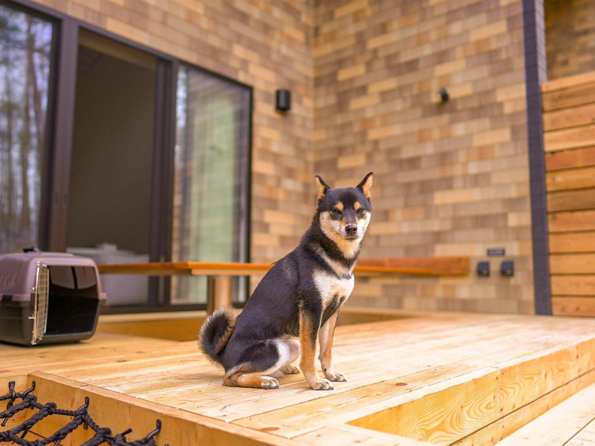 Ferienhaus Rakuten Fuji Kawaguchiko Forest 2ldk With Sauna And Terrace-pet Friendly- *
