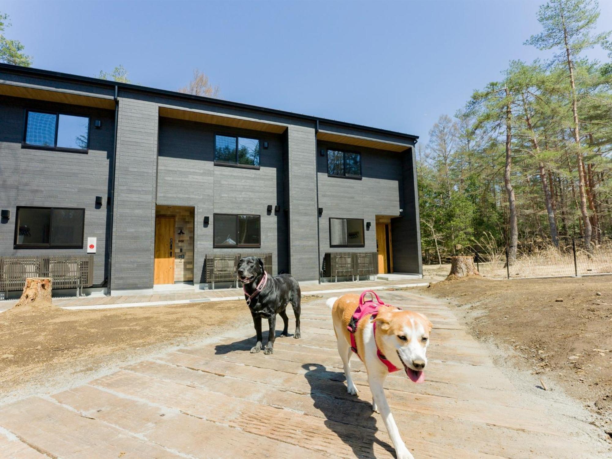 Rakuten Fuji Kawaguchiko Forest 2ldk With Sauna And Terrace-pet Friendly- *