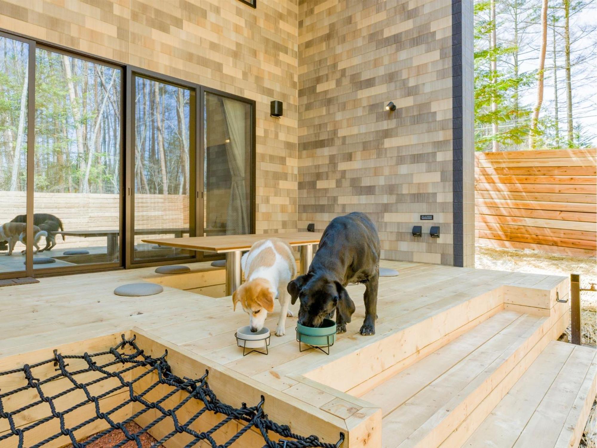 Ferienhaus Rakuten Fuji Kawaguchiko Forest 2ldk With Sauna And Terrace-pet Friendly-