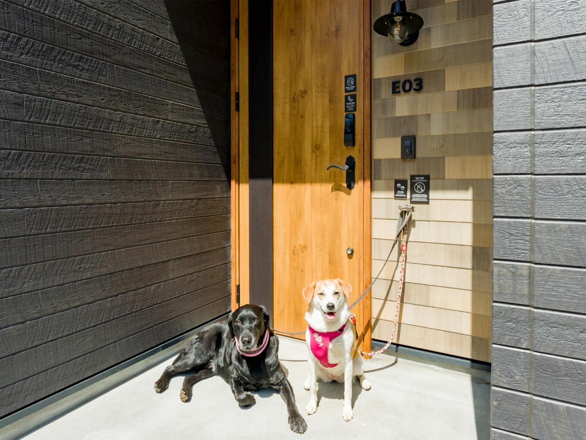 Rakuten Fuji Kawaguchiko Forest 2ldk With Sauna And Terrace-pet Friendly-
